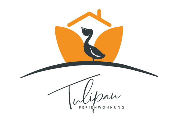 Tulipan